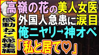 【感動する話】帰還した俺を見下す病院令嬢の同僚女医「研修医…ちゃんと腕磨いてね」→誤診された外国人の急患対応に涙目で女医「自信ない…」俺が診断し高難易度の手術を代わると…【いい話・泣ける話・朗読】