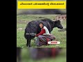 ഹിമാലയൻ പർവത നിരയുടെ പ്രത്യേകതകൾ himalaya mountain sm talking by shanib