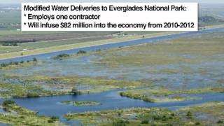 Restoring America's Everglades