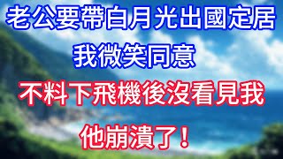 老公要帶白月光出國定居，我微笑同意，不料下飛機後沒看見我，他崩潰了！