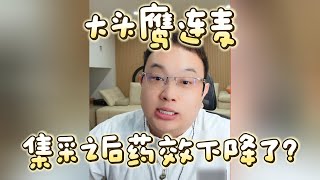 【大头鹰连麦】集采之后药效下降了？#大头鹰 #不禁要问