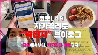 [vlog] 코로나19 자가격리 브이로그 / 입국과정 / 코로나 검진 / 자가진단 어플 사용법