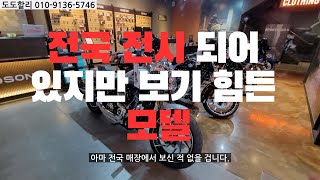 할리데이비슨 스포트 글라이드 / 가성비/ 매장에서 보기힘든 / 할리데이비슨 도도할리 최우혁