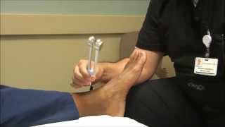 Neurologic Examination of the Foot: The 128 Hz Tuning Fork Test