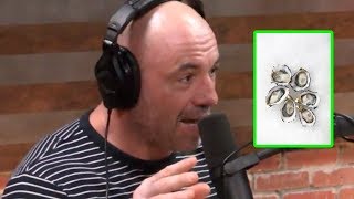 Joe Rogan: Why You Should Be Eating More Oysters