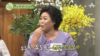 ★웃음大폭발★ '각설탕\u0026미더덕' 순실 형님이 낯선 남한 음식을 처음 만났던 순간!! | 이제 만나러 갑니다 427 회