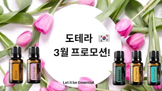 도테라코리아 3월 프로모션! 클로브, 클래리세이지, 강황, 발란스 등 놓칠게 없네요!🔥