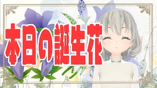 【花言葉】８月３１日の誕生花は？／花白もか