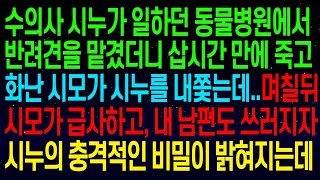 수의사 시누가 일하던 동물병원에서 반려견을 맡겼더니 삽시간 만에..화난 시모가 시누를 내쫓는데..시모와 남편이 쓰러지자 시누의 충격적인 비밀이 밝혀지는데..#실화사연