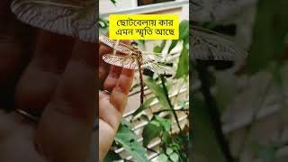 শৈশবে কার এমন স্মৃতি আছে || Childhood memory #childhood #memories #grasshopper