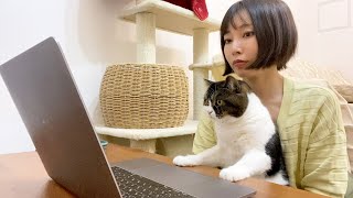 猫に野鳥の動画を見せたらこうなった…w