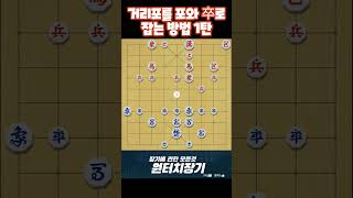 (단장기) 거리포를 포와 졸로 잡는 방법 1탄 #shorts