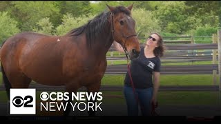 Long Island ranch helps veterans with PTSD through animal therapy