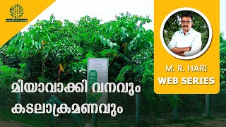 മിയാവാക്കി വനവും കടലാക്രമണവും | 1 YEAR OLD MIYAWAKI FOREST AT MUNAKKAL BEACH | EFFECTS OF SEA SURGE