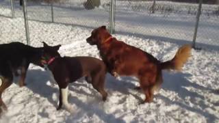 Winter Wonderland Daycare!