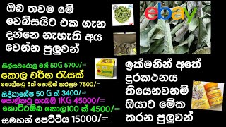 මෙන්න දුරකතනය තීනවනම් අනිවාර්යයෙන් බලන්න ඔයාට මාසෙට රුපියල් ලක්ශයකට වඩා උපයන්න පුලුවන්