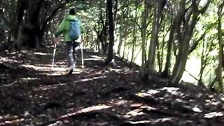 皿倉山登山、鷹見神社から皿倉平へ ①