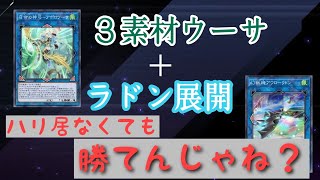 新レギュ対応！ハリファイバー無しでも7妨害！？セフィラの先行展開【遊戯王Masterduel】