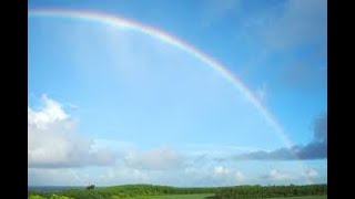 “Gone the Rainbow“虹とともに消えた恋　オカリナ愛好会ひまわり演奏