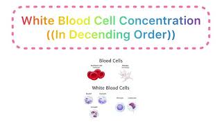 White Blood Cells Concentrations in Descending Order | Easy Medical Mnemonic For WBCs Concentration