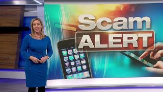 New crypto payment scam warning