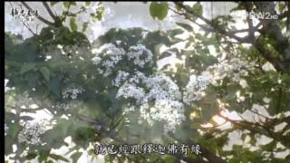 20130226《靜思晨語。法華經》啟發誠心信大法