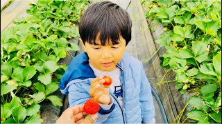 #Strawberry farm in Germany ! জার্মানিতে #স্ট্রবেরি ফার্মে এক চক্কর  ! Fardina Youtuber