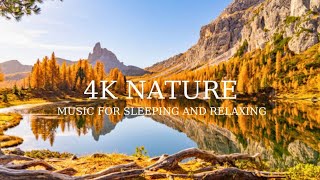 Nature's Healing Touch: Immersive Videos to Relax, Unwind, and Reconnect