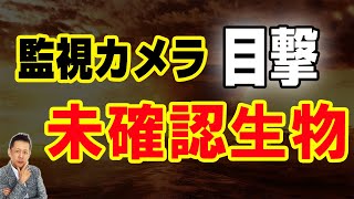 【お便り】フロリダ州の民家の監視カメラに映った謎の未確認生物　ATL5th47