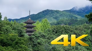 Joginyorai Saiho Temple - Miyagi - 定義如来 西方寺 - 4K Ultra HD