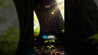 संघर्ष #viralvideo #shorts #ट्रेंडिंग #संघर्ष #moralstories #education