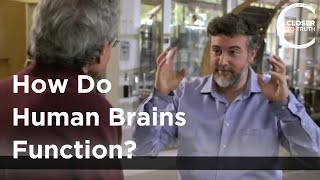 Michael Graziano - How Do Human Brains Function?