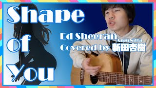 Shape of You/Ed Sheeran (弾き語りcover)