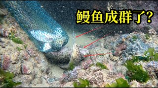 小灣趕海空軍峰回路轉，兇猛大貨拉到勒傷手，鰻魚辣螺收獲滿滿