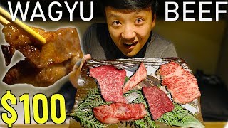 All You Can Eat A5 WAGYU BEEF in Tokyo Japan!