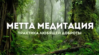 Метта Медитация на Безусловную Любовь ❤️ Ощути Принятие Вселенной