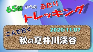 秋の夏井川渓谷