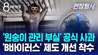 '감염 의심' 수백 마리 반입 보도에…생명연 공식 사과 / SBS 8뉴스