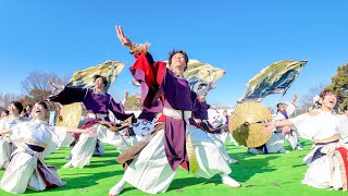 [4K] 彩ノ京 -ハナノミヤコ-　堺よさこいかえる祭り 2025　大仙公園会場 (前方)