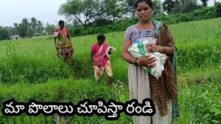 #rupaagriculture నేను నా పెళ్ళాం అలా పొలంలోకి గడ్డికి వెళ్ళాము, గేదెలకి గడ్డ వేయకపోతే పాలు ఇవ్వవు