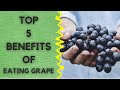 Top 5 Health Benefits Of Eating Grapes. Did You Know It ?