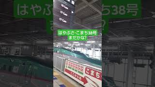 東北新幹線見送り【CYGNS11】#仙台駅 2024.07.07