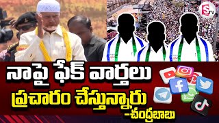 నాపై ఫేక్ వార్తలు | Chandrababu Reacts On Fake News | AP Elections 2024 @sumantvlatest