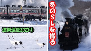 【道東遠征2023①】 SL冬の湿原号を撮る 【JR北海道で唯一のSL運転】