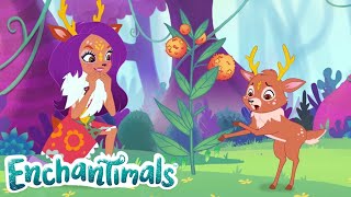 Enchantimals Россия 💜Лучшие друзья навсегда! 😍💜Забавные истории ОБОБЩЕНИЕ💜мультфильмы для детей | 0+