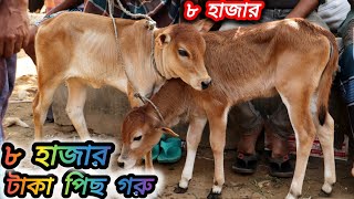 ৩০/১২/২৪/🔰 বছরের শেষ অফার \