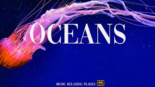 Oceans 4K - Relaxing Music, Calm Music, Study Music - 4K Video UltraHD