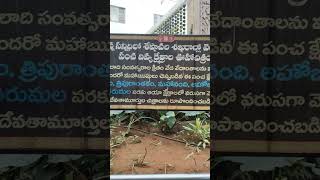 Who saw this వెంగమాంబ సత్రంలో చూసారా #shortsfeed #trending #viralvideo #shorts #ytshorts #tirupati