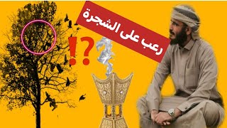 | 162 | يتحدى الخليفه والجن ساكنين في الشجره | قصص حقيقية مجنونه