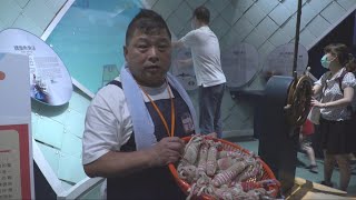 海洋職人「糶手」批發魚市場的靈魂人物｜國家海洋日｜海科館